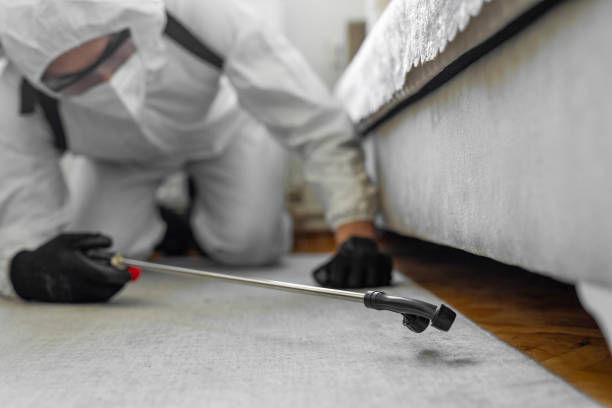 Professional Termite Control technician working in Los Angeles County County, CA